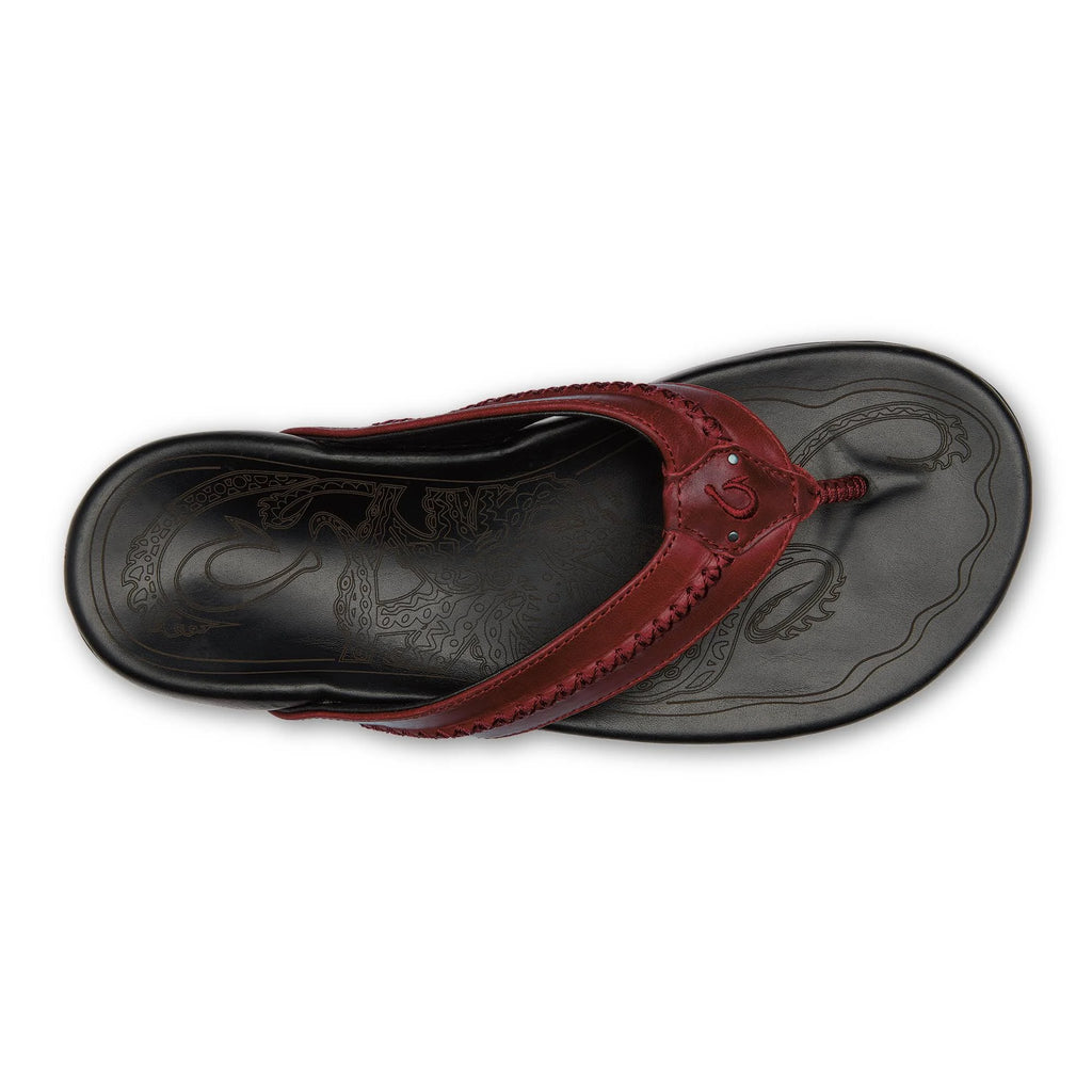Terra / Black D29003