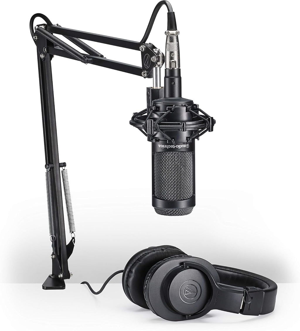 Cardioid Condenser Microphone with Custom Shock Mount W165