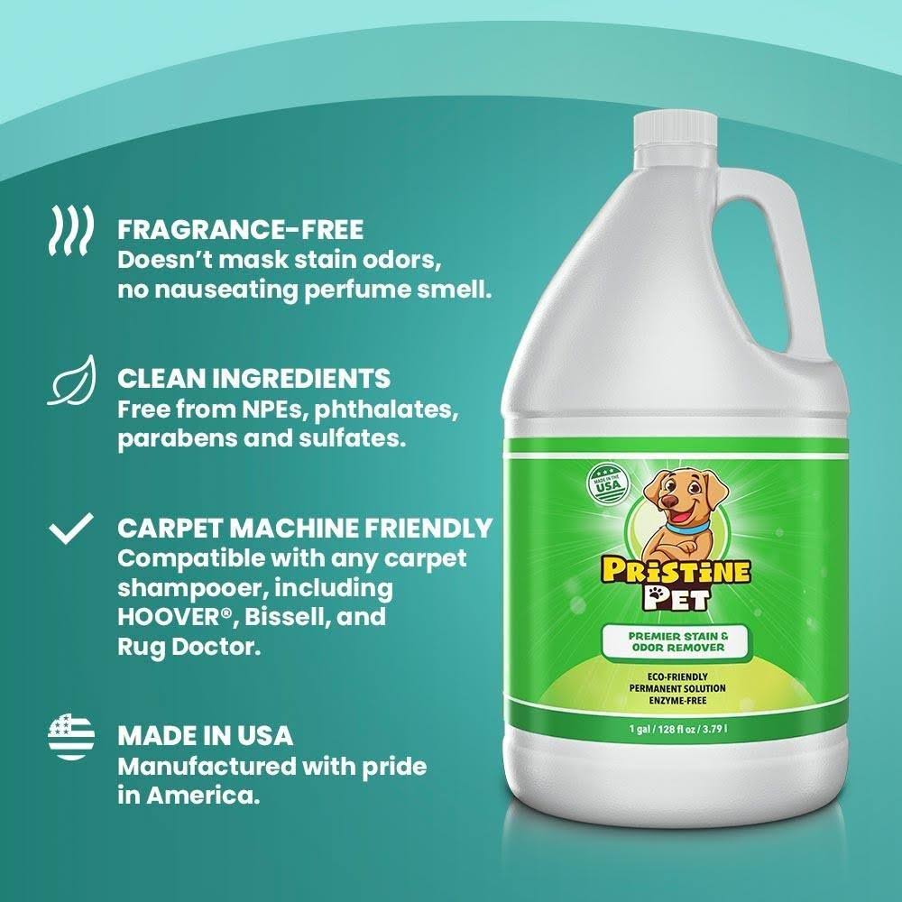 Pet Stain & Odor Remover Gallon Bottle 2-Pack Q19959