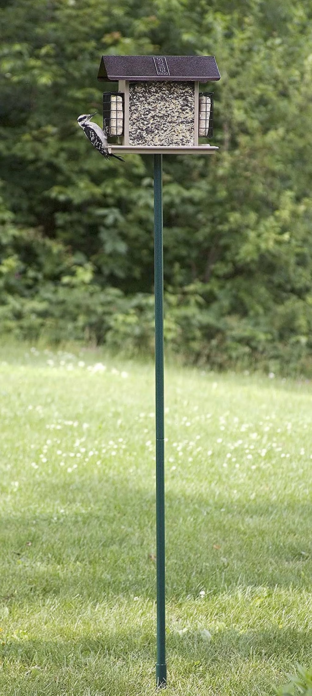 1-Inch Diameter 60-Inch Bird Feeder Pole V2724