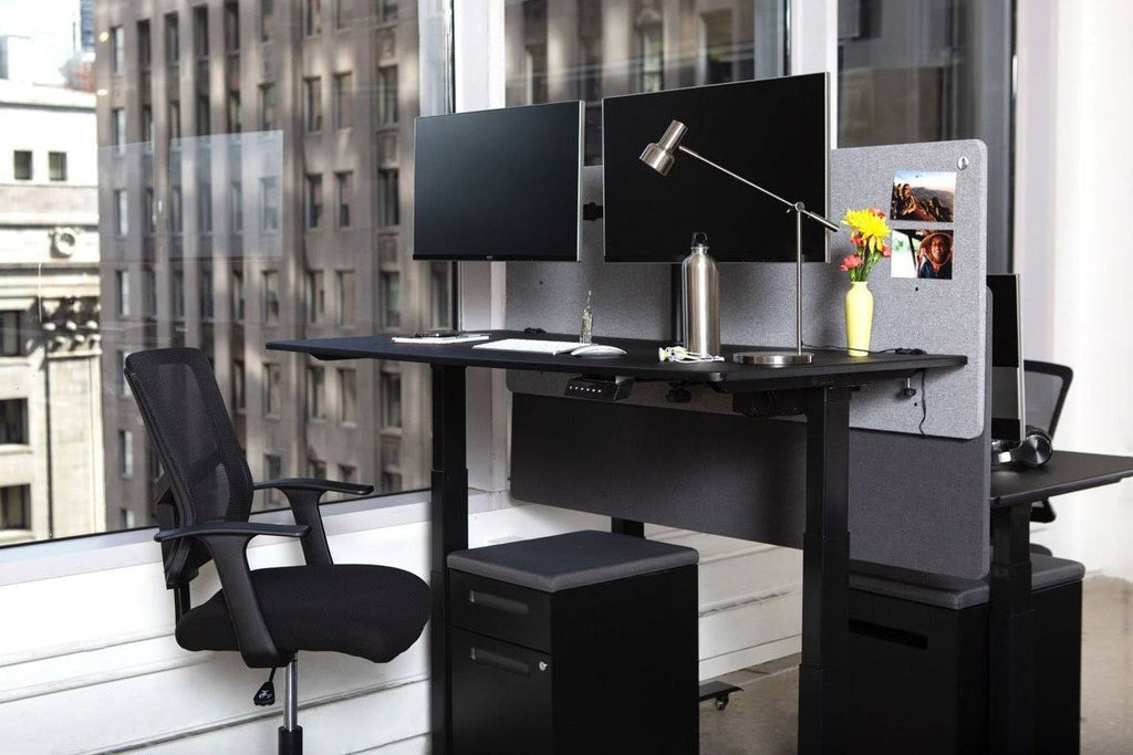 Desktop Privacy Panel 2 Pack F281793
