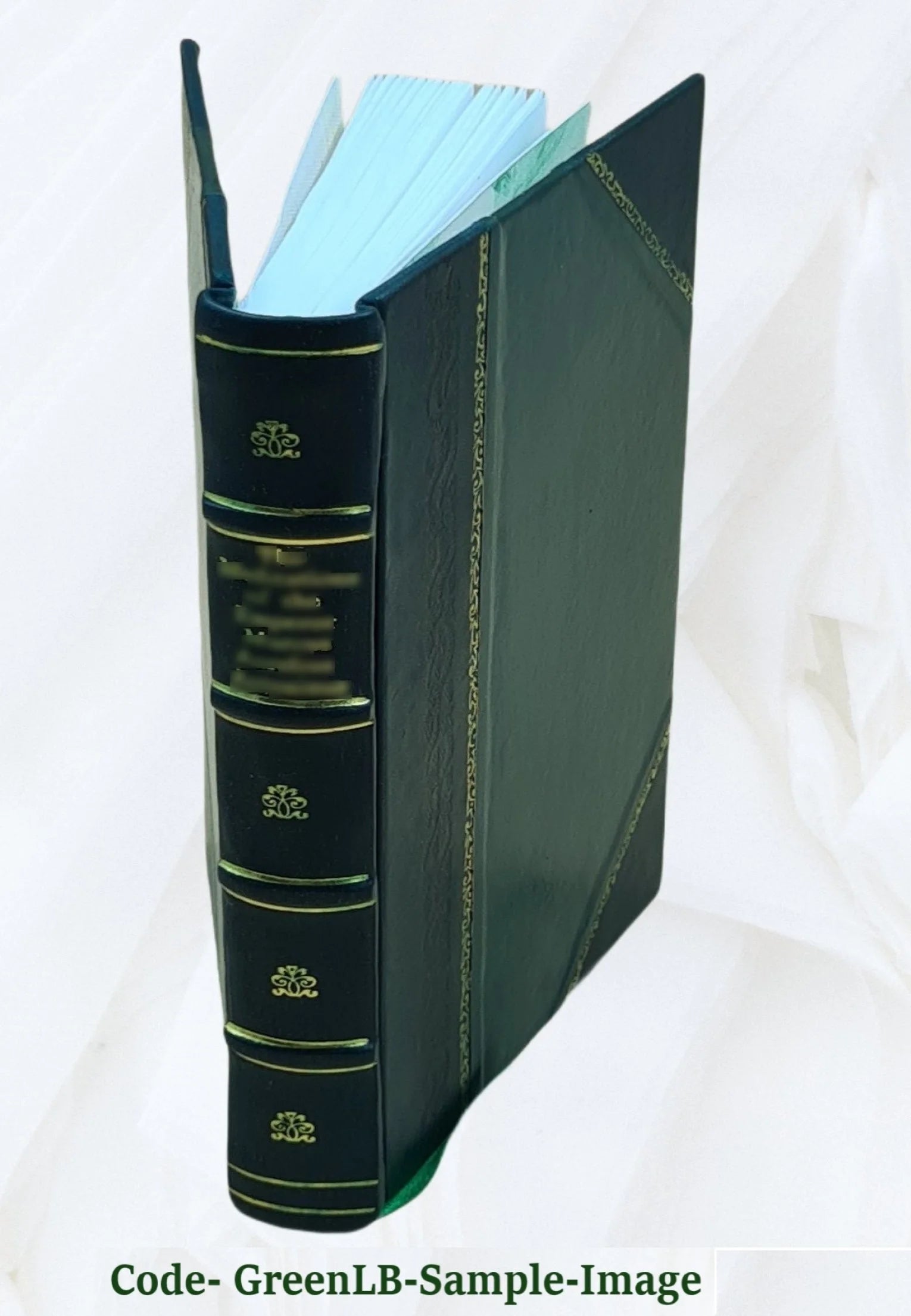Leather Bound Roman R1606