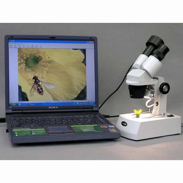 Stereo Microscope with 3MP Digital Camera Q68432