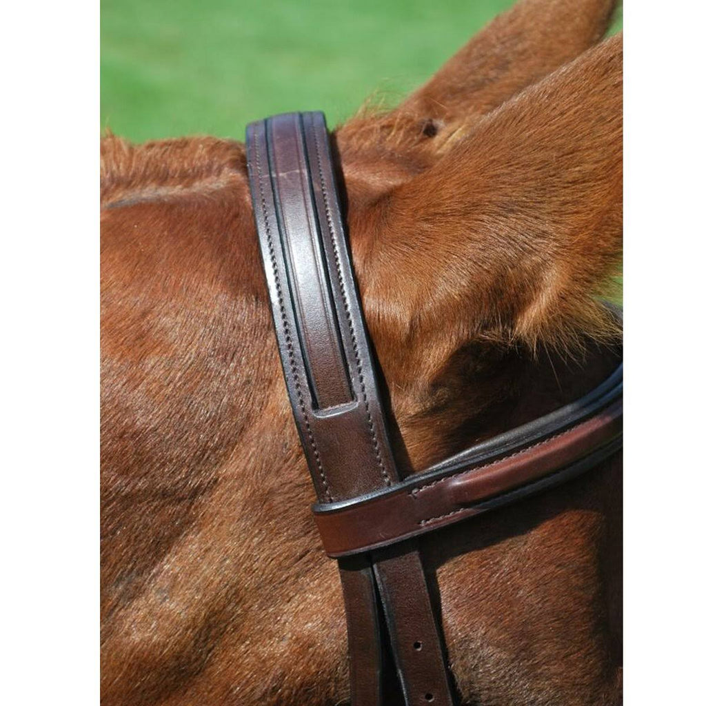Oversize Hunter Bridle Q610