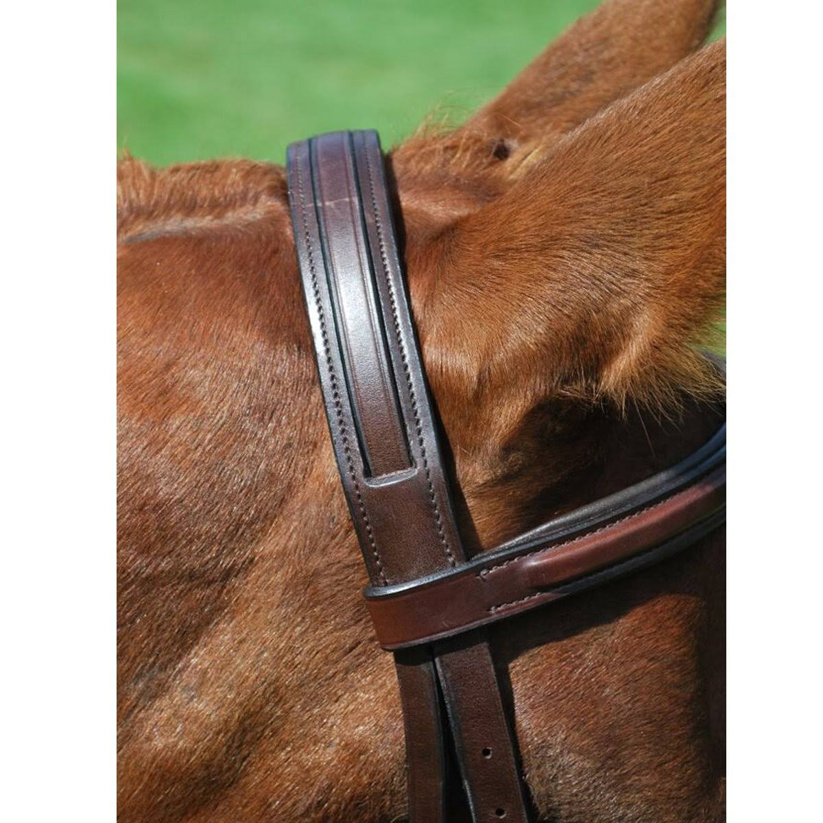 Oversize Hunter Bridle Q610