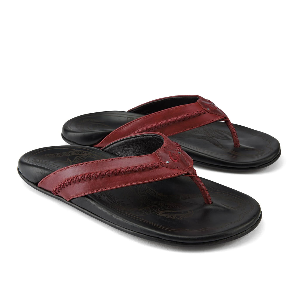 Terra / Black D29003