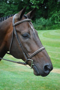 Oversize Hunter Bridle Q610