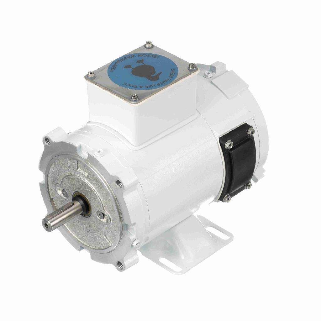 DC Washdown Motor B2532
