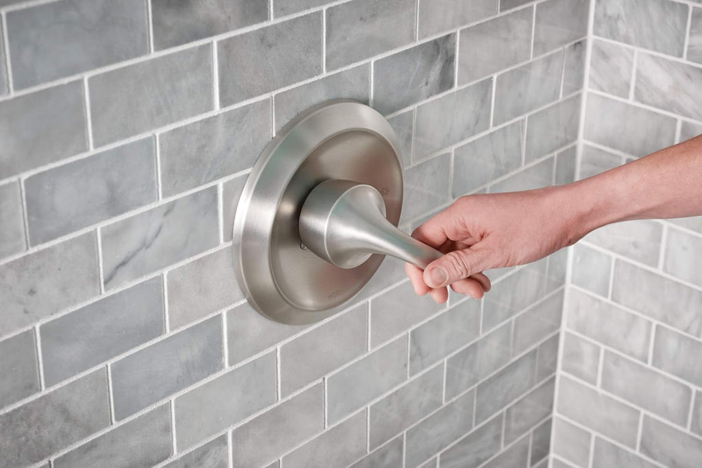 Spot Resist Brushed Nickel Handshower and Rainshower Combo F5146