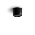 Black Ceiling Light C424736