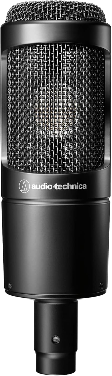 Cardioid Condenser Microphone with Custom Shock Mount W165
