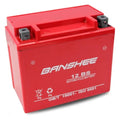 12 V 12Ah SLA AGM Battery A8625