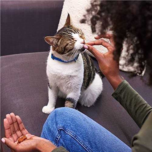 Classic Crunchy and Soft Cat Treats Variety Pack M17105