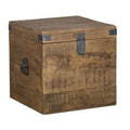 Mango Wood Storage Trunk D418288