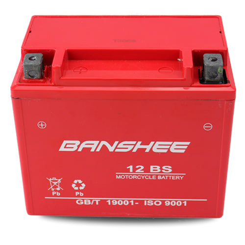12 V 12Ah SLA AGM Battery A8625