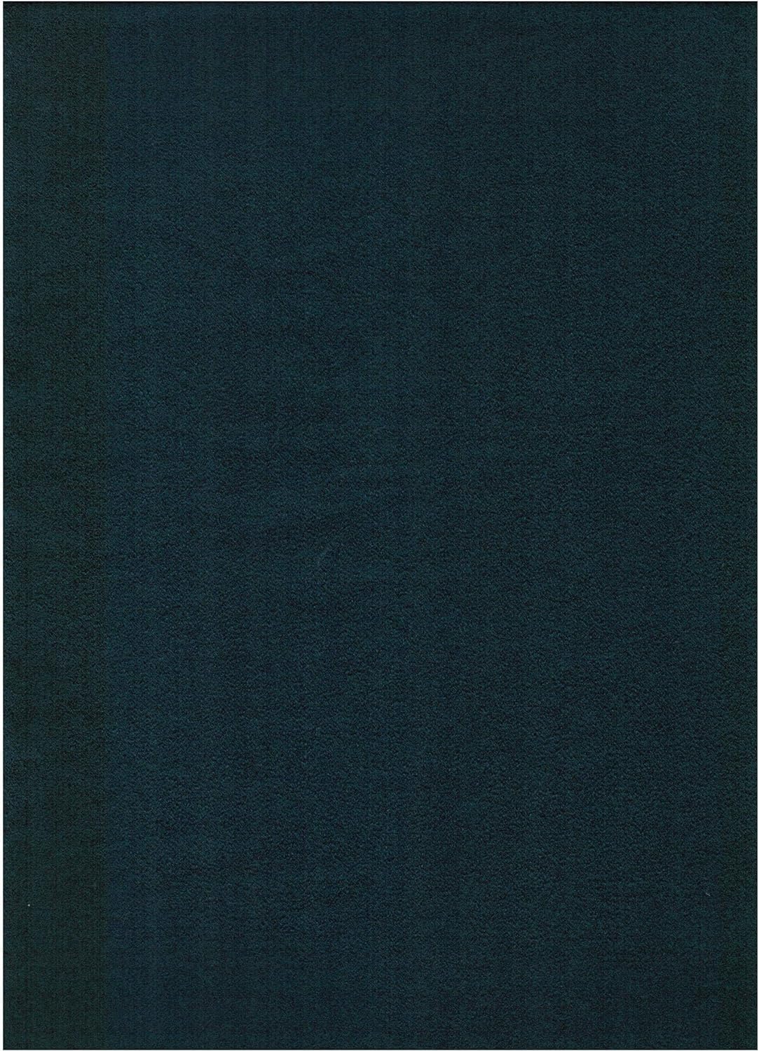Blue Suede Fabric Futon Mattress G296