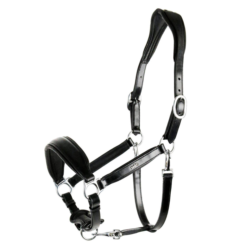 Anatomical Leather Halter P8592