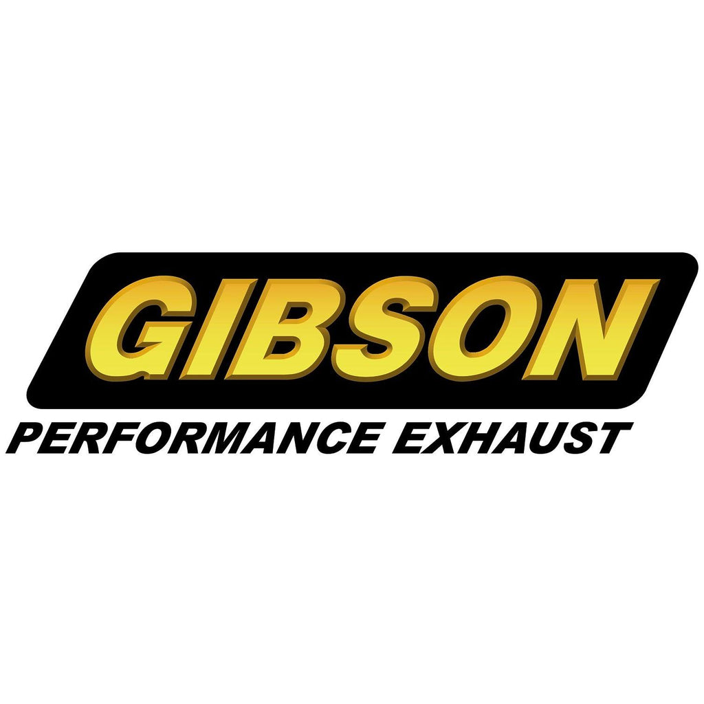 Stainless Cat-Back Dual Split Exhaust System Y5699
