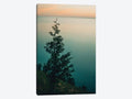Canvas Prints D4640