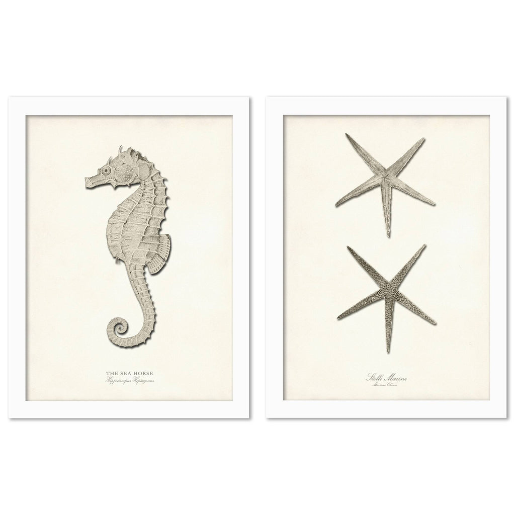 2 Piece White Framed Print Set Z230