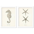 2 Piece White Framed Print Set Z230