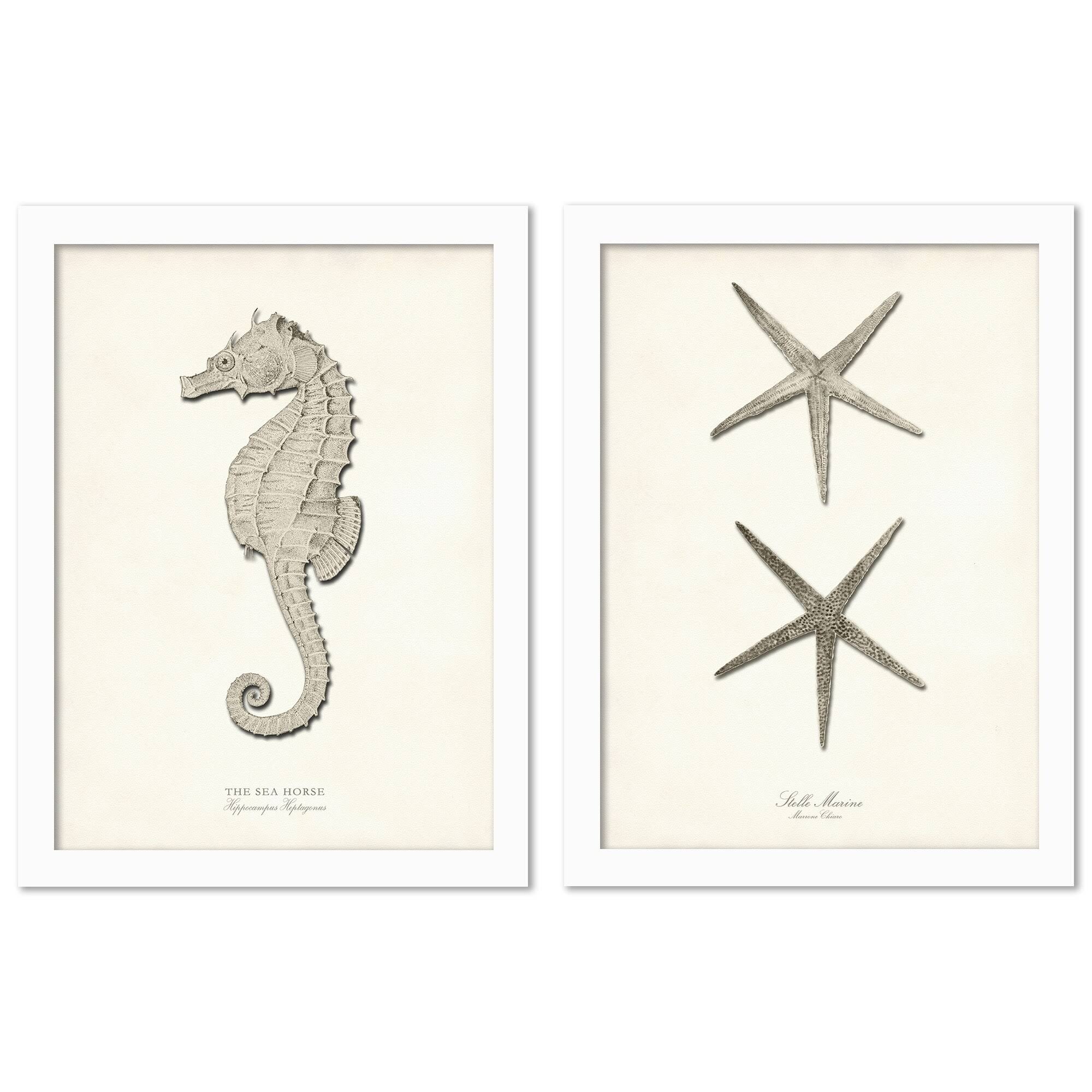 2 Piece White Framed Print Set Z230
