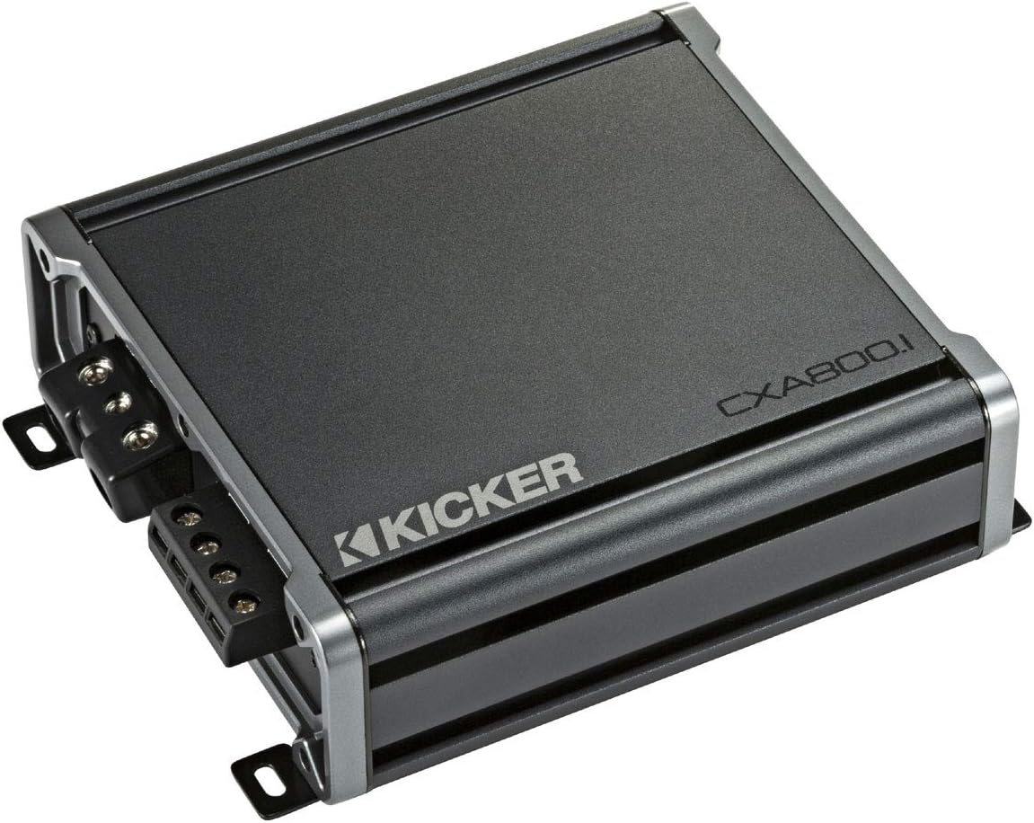 Dual 10 Sub Box with CXA800.1 I438