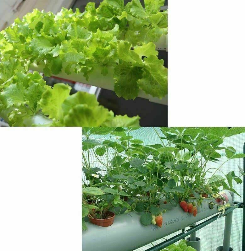 54 Plant Sites Hydroponic Grow Kit with 110V Pump B6377