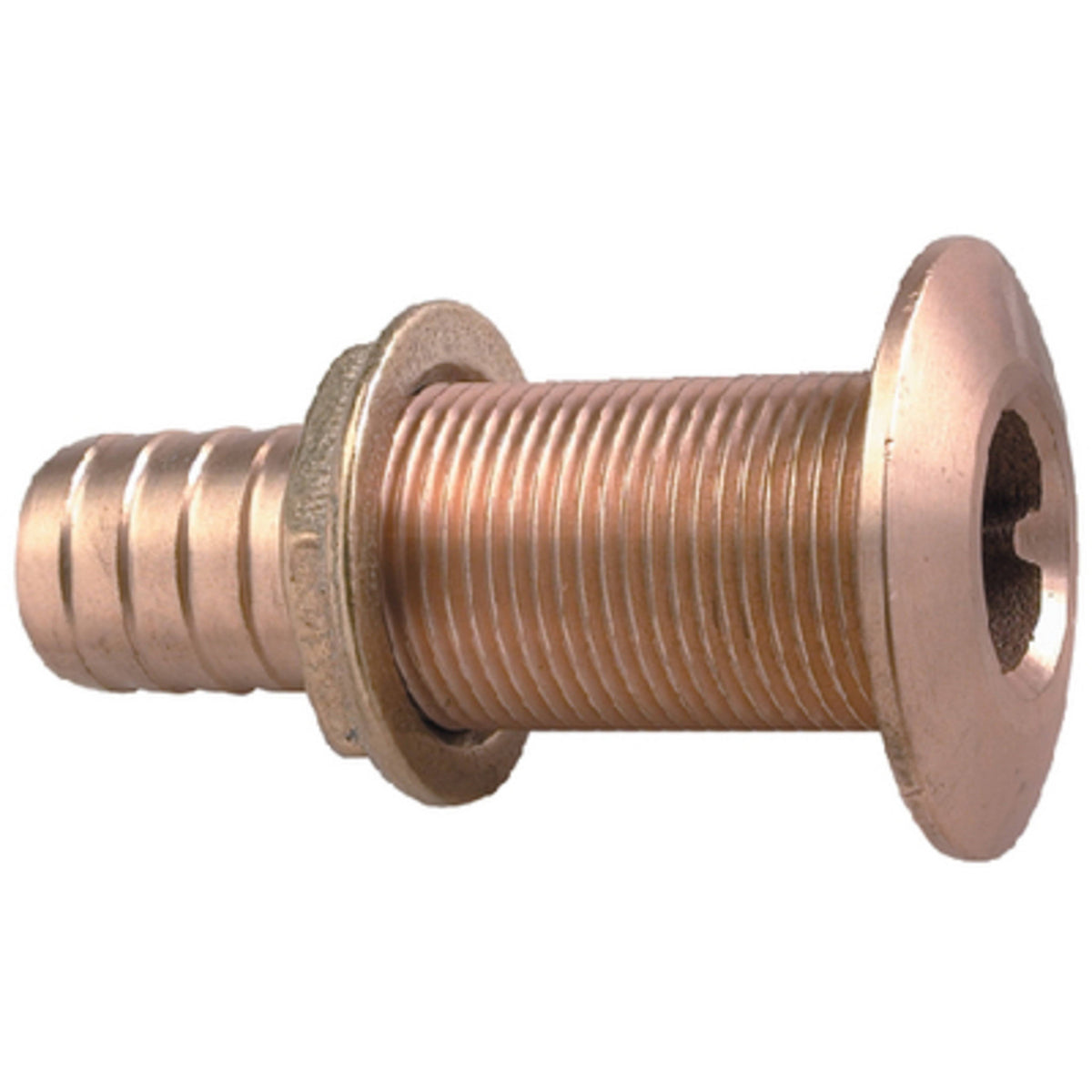 Bronze Thru-Hull Fitting for Hose V364831