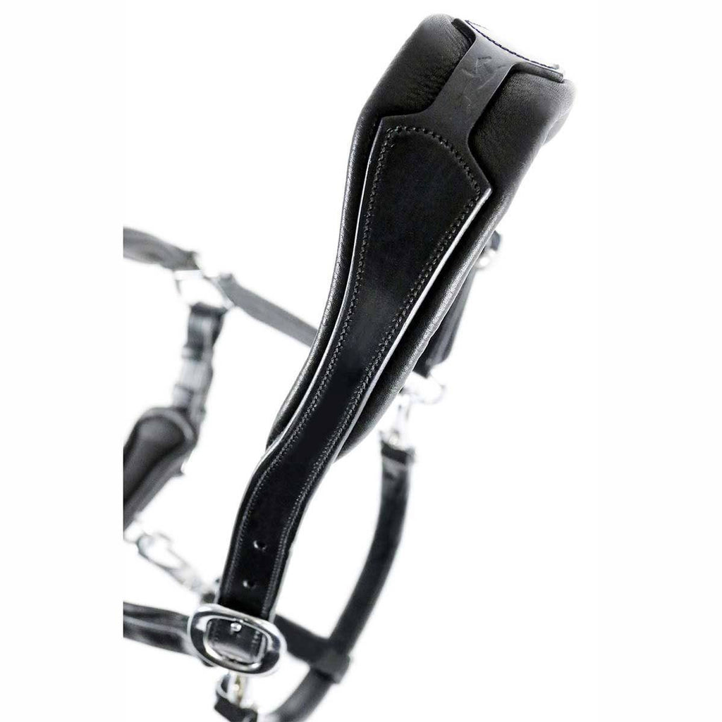 Anatomical Leather Halter P8592