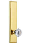 Tall Plate Privacy Knob in Lifetime Brass J839
