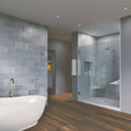 Chrome Frameless Hinged Shower Door C36074