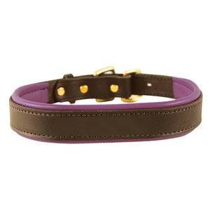 Large Padded Leather Dog Collar H73892