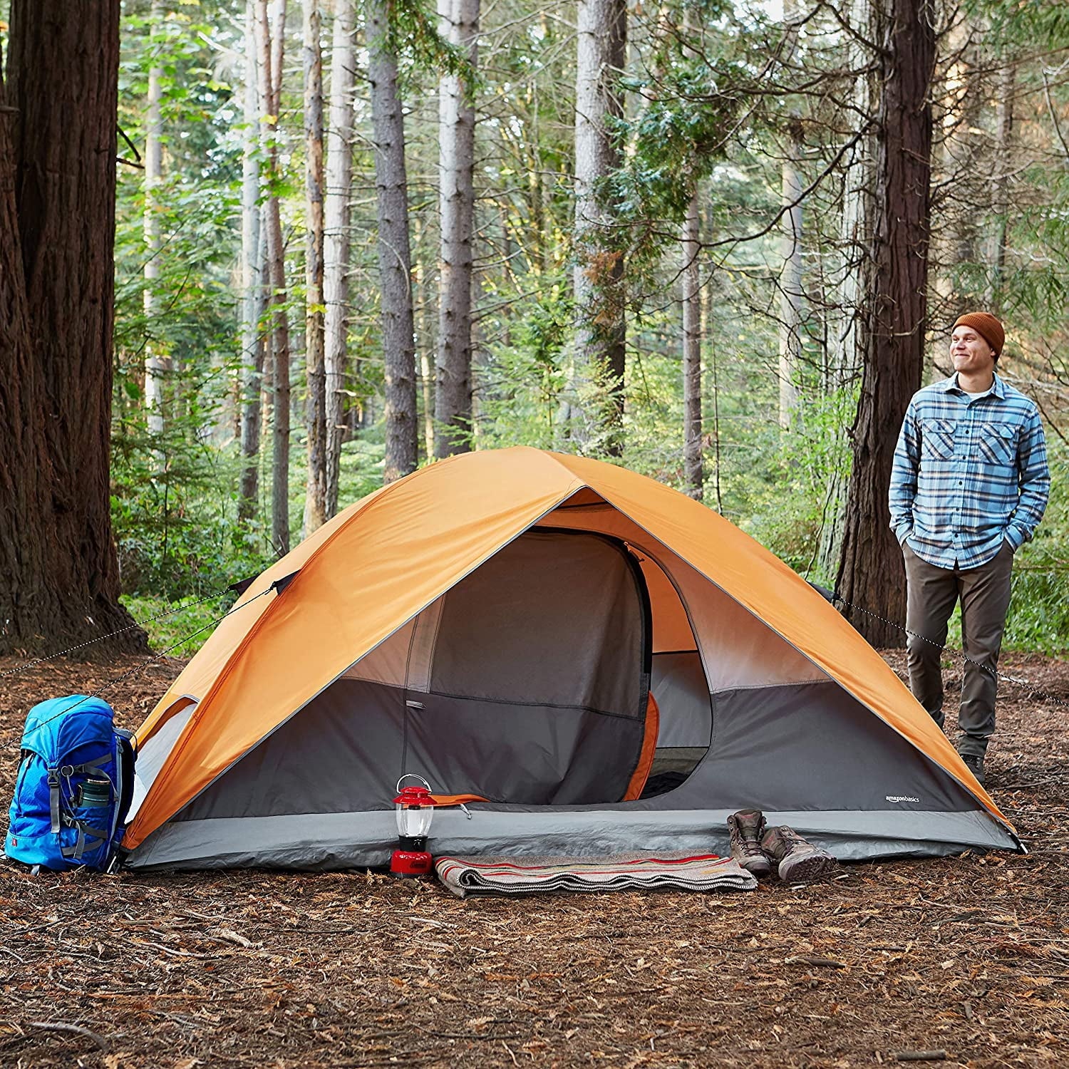 4/8 Person Dome Camping Tent with Rainfly and Carry Bag R652