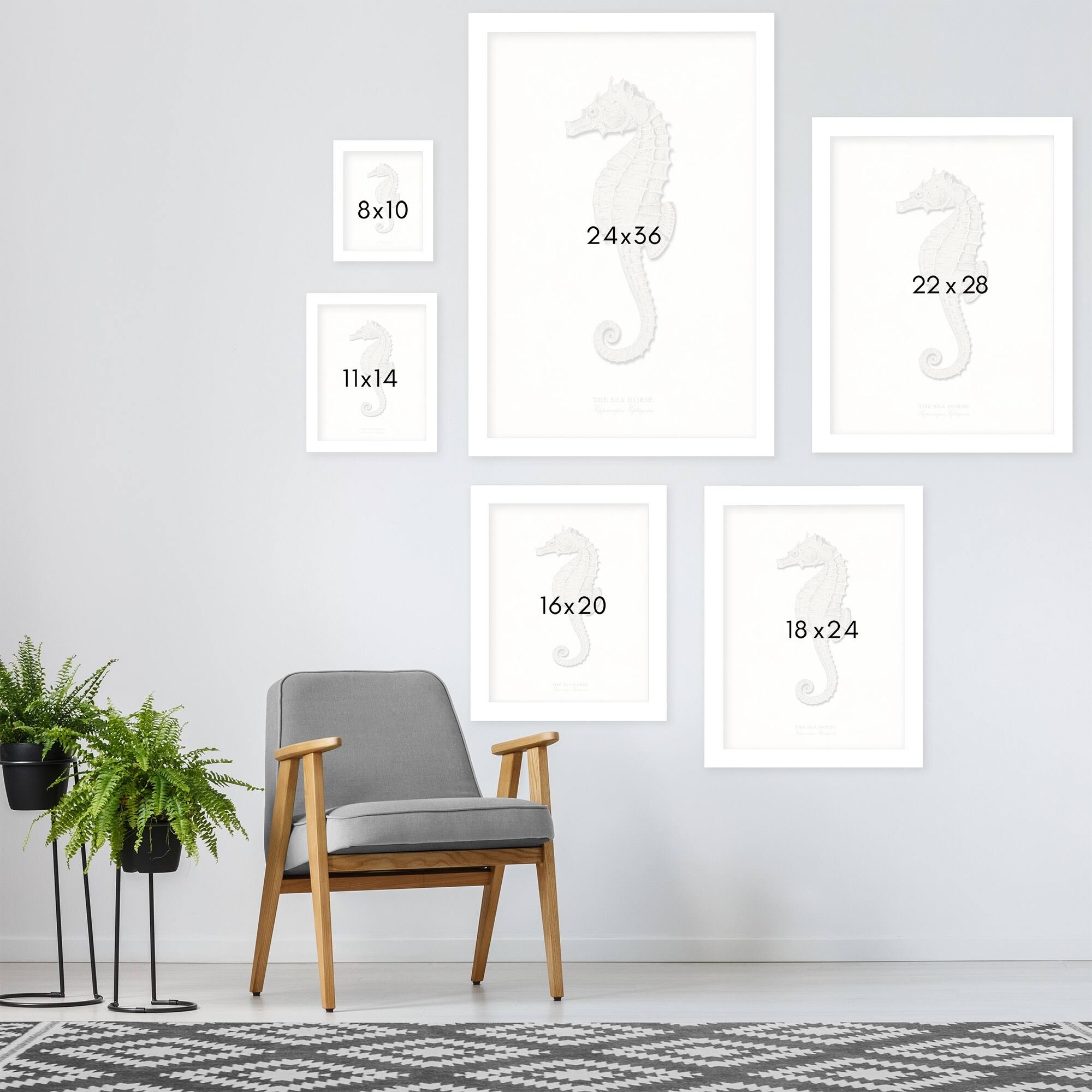 2 Piece White Framed Print Set Z230