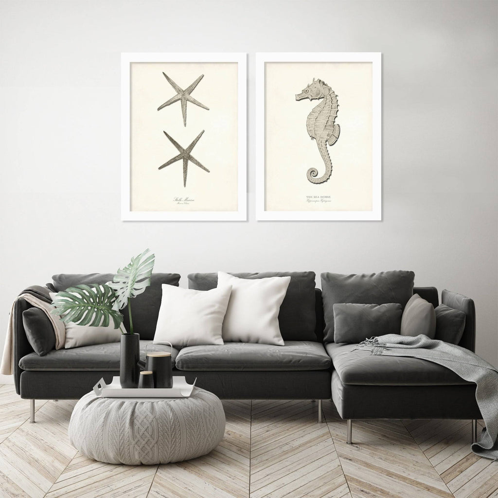 2 Piece White Framed Print Set Z230
