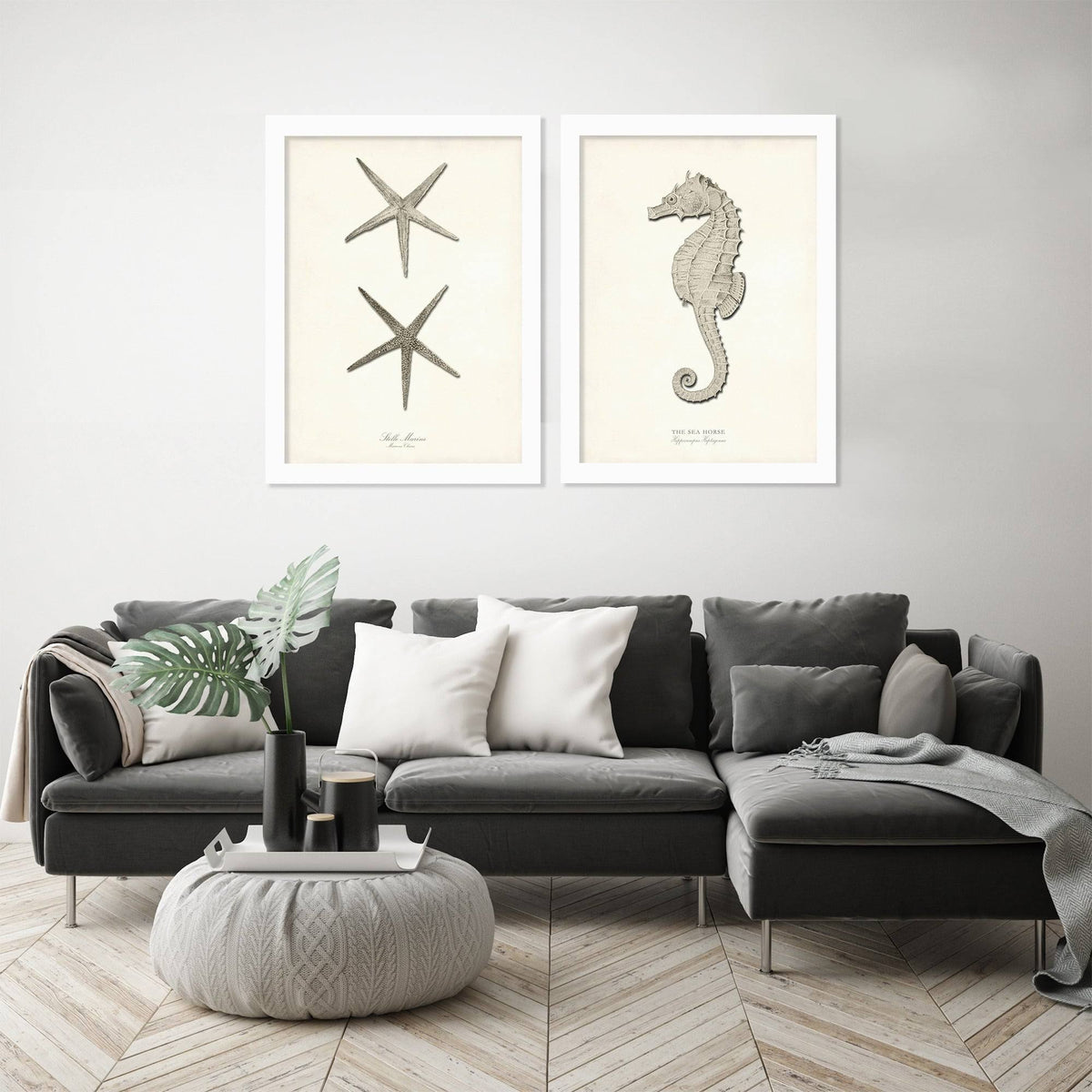 2 Piece White Framed Print Set Z230