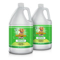 Pet Stain & Odor Remover Gallon Bottle 2-Pack Q19959