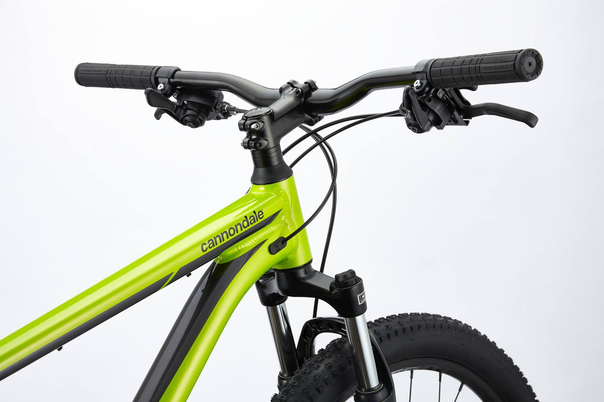 Graphite Mountain Bike O6785