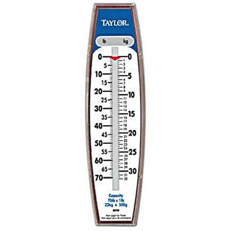 Industrial Hanging Scale 27 Pound G302718