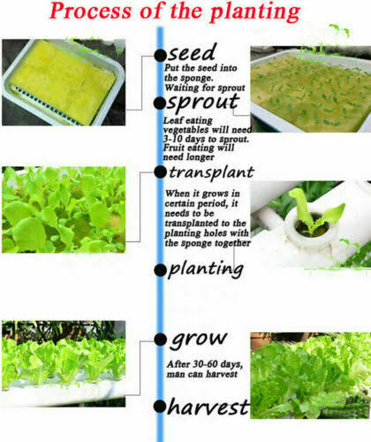 54 Plant Sites Hydroponic Grow Kit with 110V Pump B6377