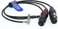 Two 3 pin XLR Female Audio Input Cable S433