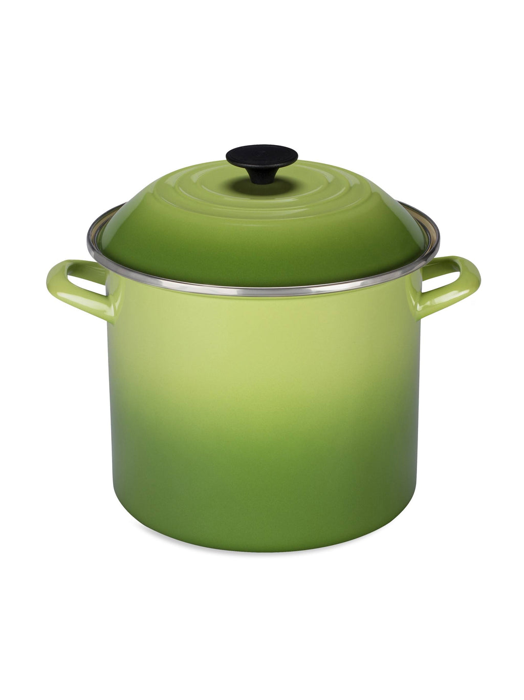 Caribbean 10 Qt. Stockpot G632073