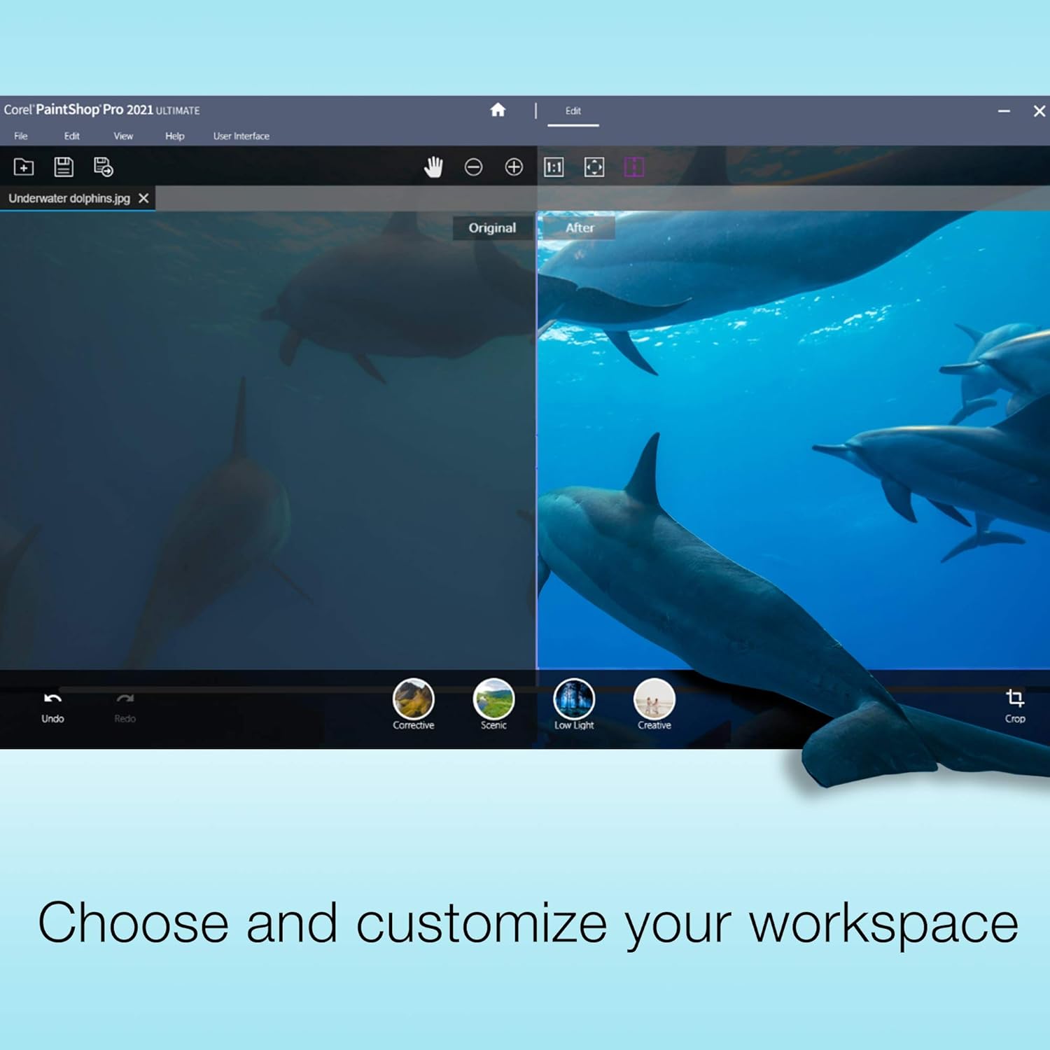 PaintShop Pro 2021 Ultimate Photo Editing Software [PC Disc] W858