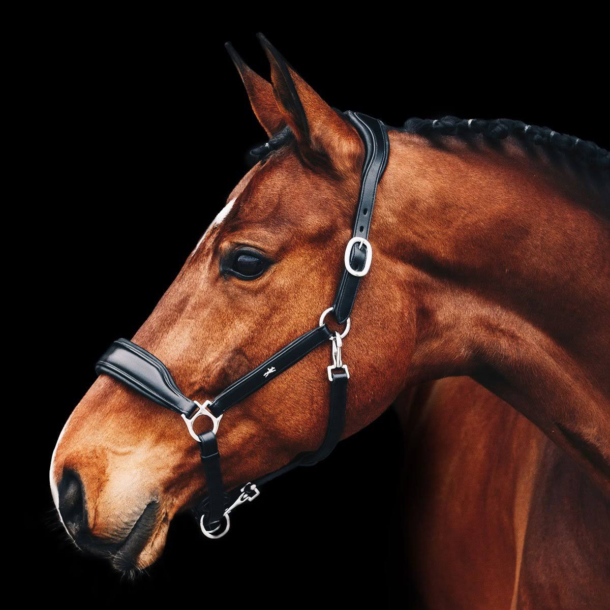 Anatomical Leather Halter P8592