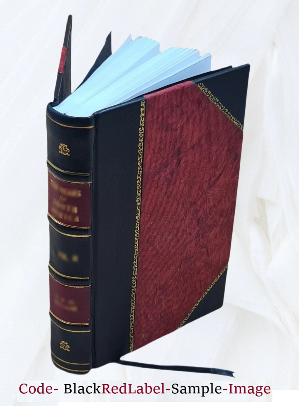 Leather Bound Book F6966