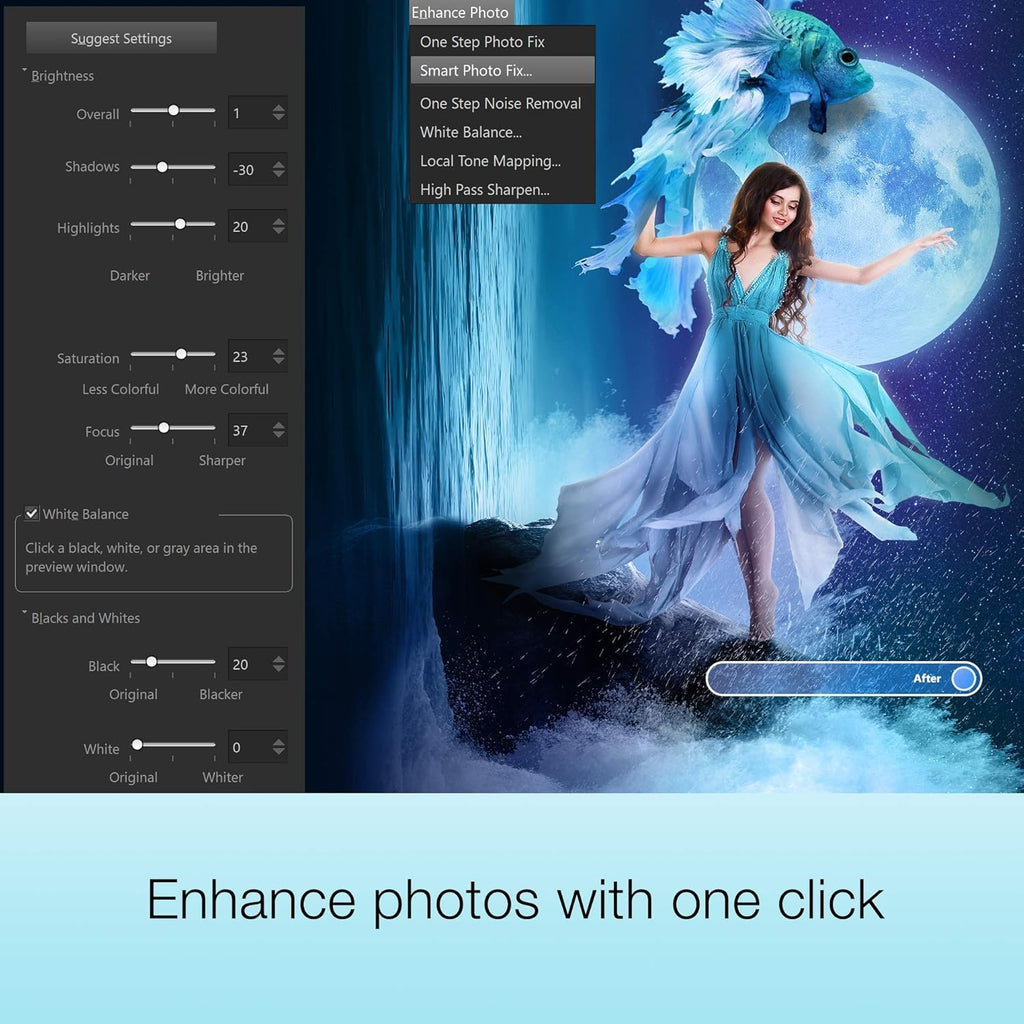 PaintShop Pro 2021 Ultimate Photo Editing Software [PC Disc] W858