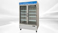Two Glass Door Freezer with SS Door O135